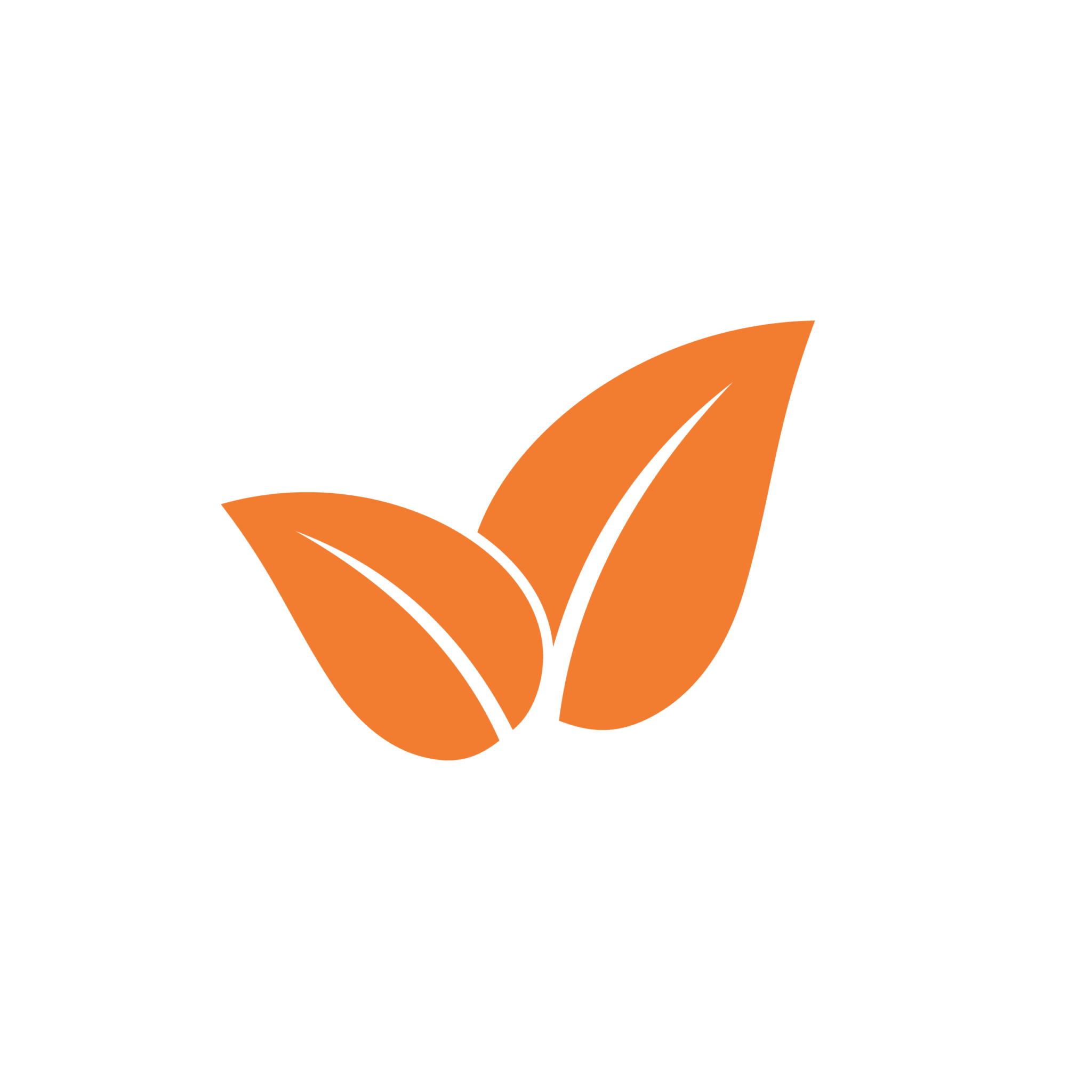 Our Story 300 Grams our-story-300-grams